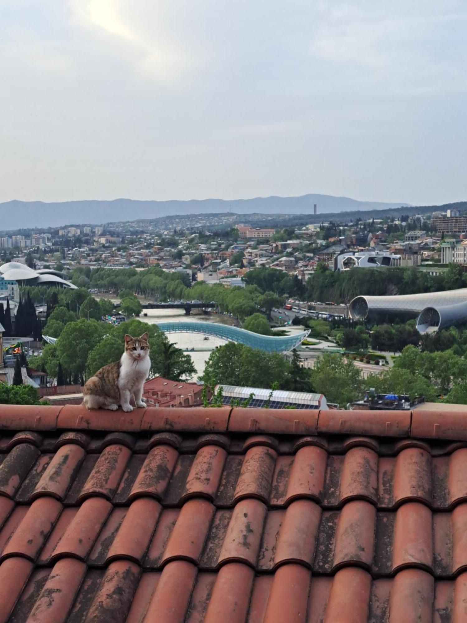 Panorama11 Hotel Tbilisi Exterior photo